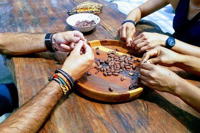 Mindo Cloud Forest Tour: Chocolate, Coffee, Birds & Nature - Attractions and Activities