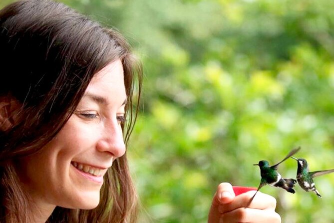 Mindo Orchids & Hummingbirds - Attractions: San Tadeo Birding