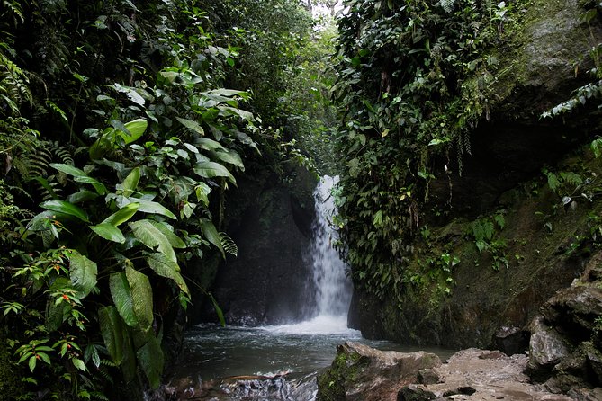 Mindo Private Transportation Full Day - Key Points