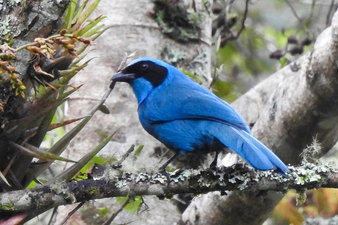 Mindo Private Transportation Full Day - Schedule and Availability