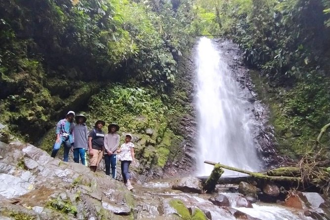 Mindo Tour With Hummingbirds, Waterfalls, Zip-Line, Chocolate - Natural Beauty of Mindo