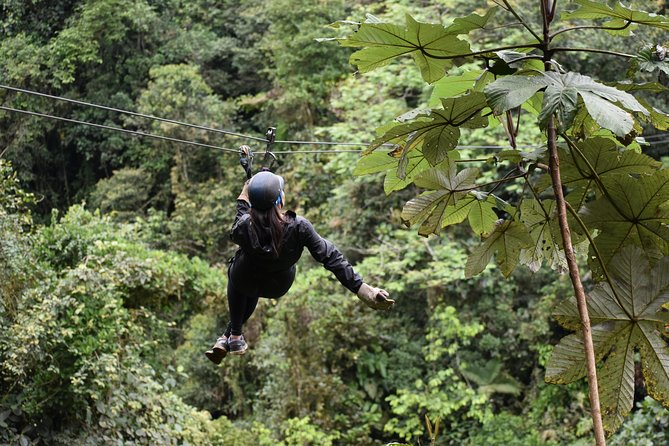Mindo Ziplines Tours / Canopy Tour / Zip Line - Thrilling Zip Line Options
