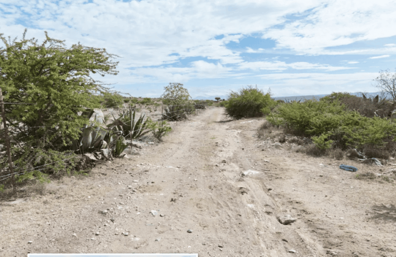 Mineral De Pozos: a Journey Through City History - Guided Tour Experience