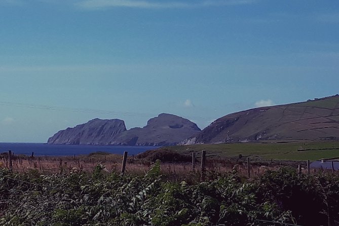 Mini Bus Tour of The Ring of Kerry and Skellig Ring - Cultural and Historical Sites