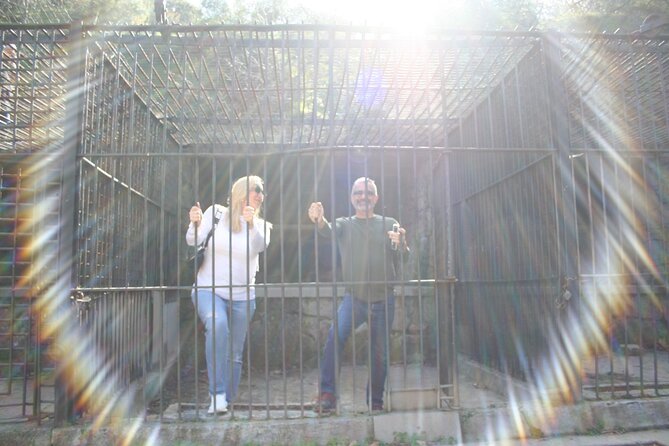 Mini-Car Discover Los Angeles Tour Sunny Day Scoot - Meeting Location and Accessibility