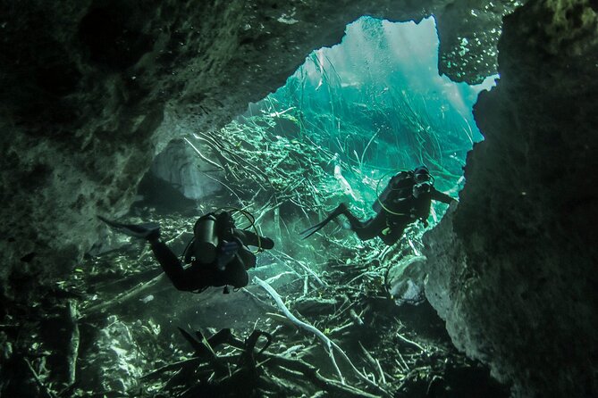 Mini Cenotes Dive Excursion From Playa Del Carmen - Itinerary and Activities