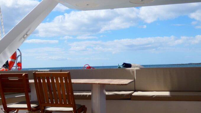Mini Cruise on a Maxi Catamaran (Trinité-Sur-Mer/Belle-Ile) - Languages and Accessibility