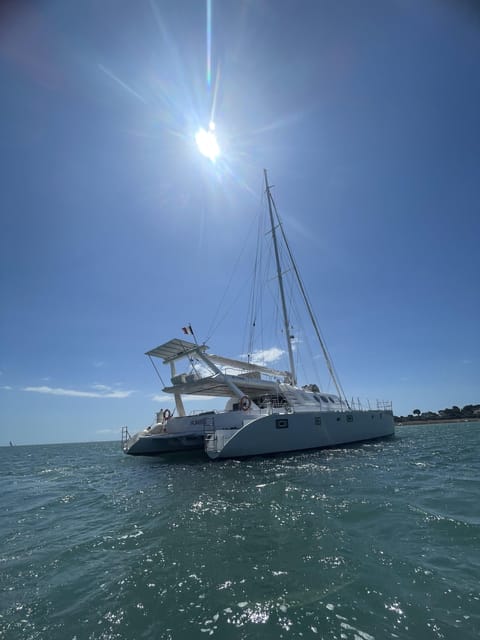 Mini Cruise on a Maxi Catamaran (Trinité-Sur-Mer/Belle-Ile) - Booking and Cancellation Policies