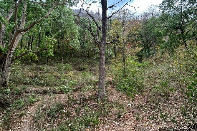 Mini Gartang Gali Trek From Rishikesh - Participation Guidelines