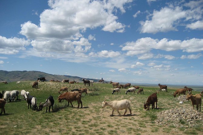Mini Gobi and the Ancient Capital Kharkhorin - 4 Days - Itinerary Day 1