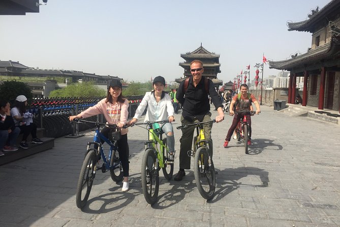 Mini Group: Daily VIP Xian Terracotta Warriors and City Discovery Tour - Tour Requirements and Conditions