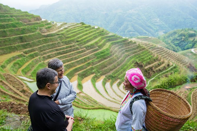 Mini Group: Longji Rice Terraced Fields and Minority Villages Tour - Inclusions