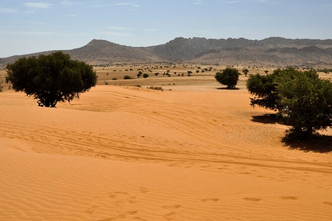 Mini Sahara Atlantic Ocean Jeep Tour With Berber Lunch - Key Points