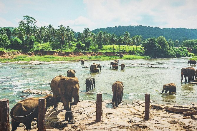 Mini Sri Lanka Tour 4 Nights 5 Days for Couple Price - Inclusions and Exclusions