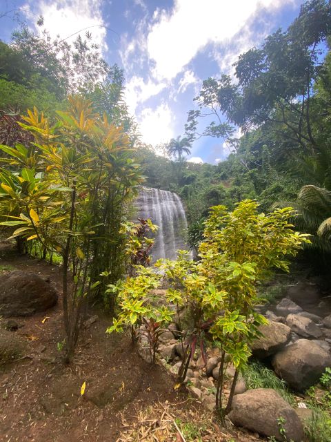 Mini Waterfall Hike - Booking and Cancellation