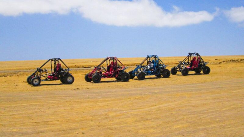 Minibuggy Adventure and Visit to the Paracas Reserve - Itinerary Details