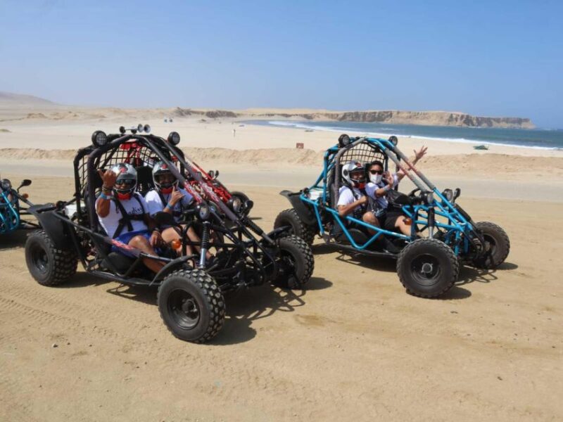 Minibuggy Adventure and Visit to the Paracas Reserve - Equipment and Inclusions