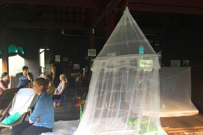 Minibus - 2 D, 1 N Siem Reap / Koh Ker / Loas Border Adventure - Health and Accessibility