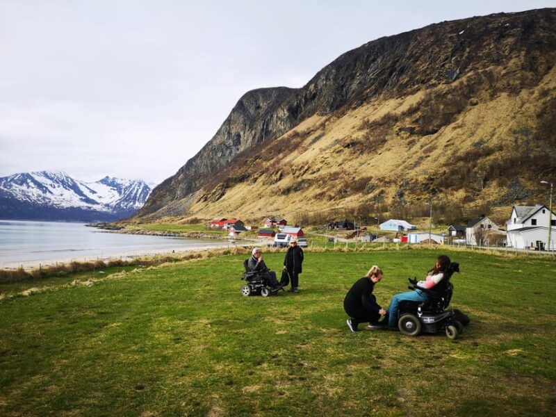 Minibus Fjords Tour to Kvaløya & Sommarøy Island Winter - Key Points