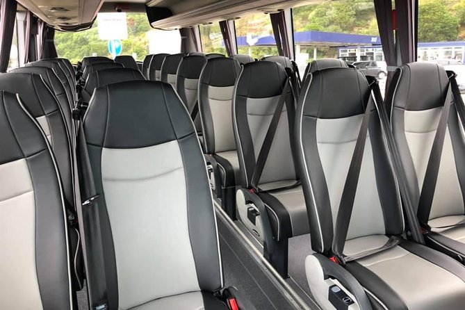 Minibus – Lake Tour – Sete Cidades / Lagoa Do Fogo – Full Day (Shared) - Accessibility and Participation