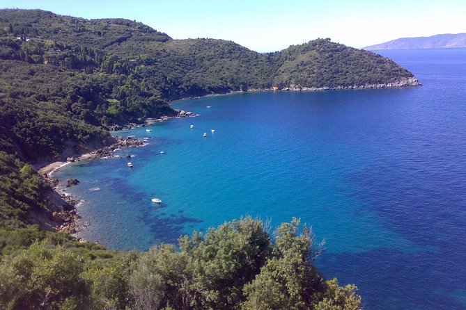 Minicruise Giglio And Giannutri Islands - Transportation and Logistics