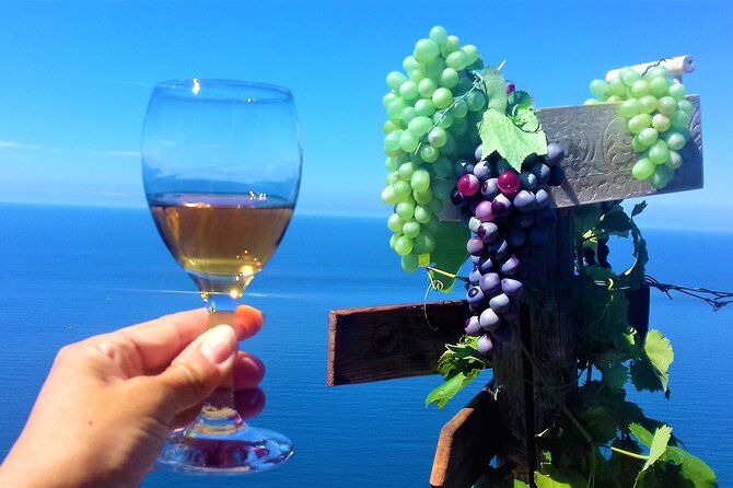 Minitrekking and Visit of the Cinque Terre Vineyard - Quick Points