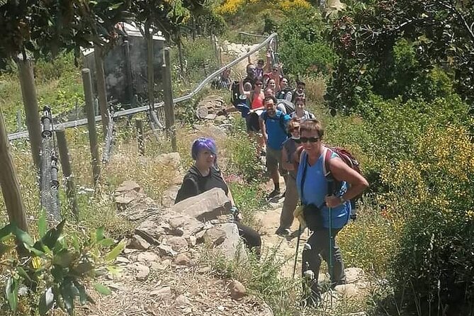 Minitrekking and Visit of the Cinque Terre Vineyard - Inclusions and Amenities