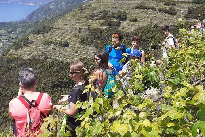 Minitrekking and Visit of the Cinque Terre Vineyard - Reviews and Ratings