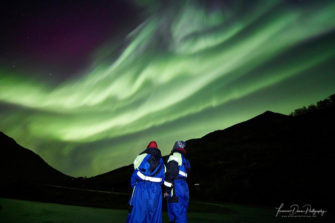 Minivan Northern Lights Excursion (8 Guests per Minivan) - Whats Included
