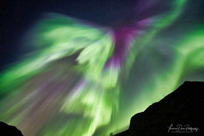 Minivan Northern Lights Excursion (8 Guests per Minivan) - Meeting Location and Time