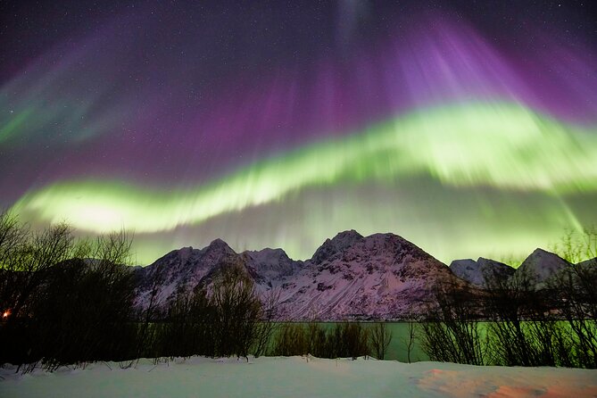 Minivan Northern Lights Excursion (8 Guests per Minivan) - Confirmation and Cancellation