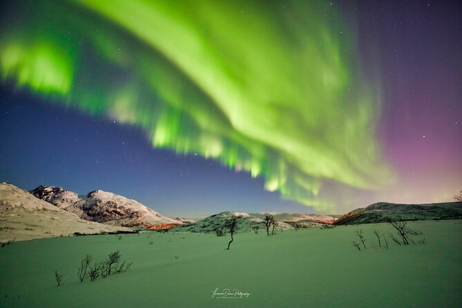 Minivan Northern Lights Excursion (8 Guests per Minivan) - Photography Instruction