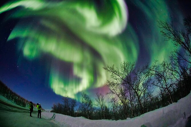 Minivan Northern Lights Excursion (8 Guests per Minivan) - Enjoying the Night Sky