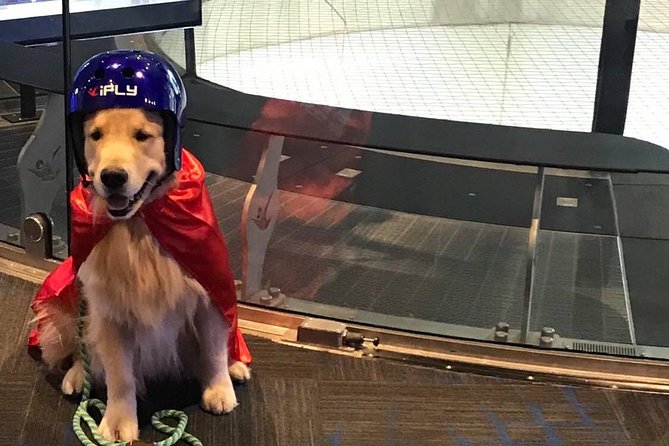 Minneapolis Indoor Skydiving Admission With 2 Flights & Personalized Certificate - Experience Description