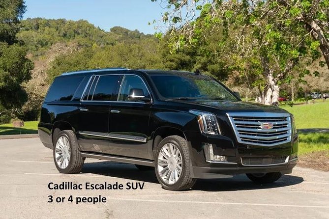 Minneapolis & St. Paul Highlights Private Riding & Walking Tour (3 Hrs) - Private Transportation