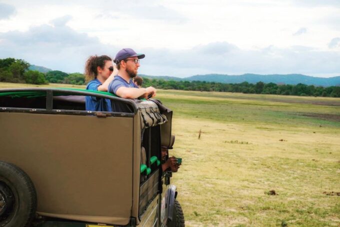 Minneriya Elephant Gathering Safari - Recap