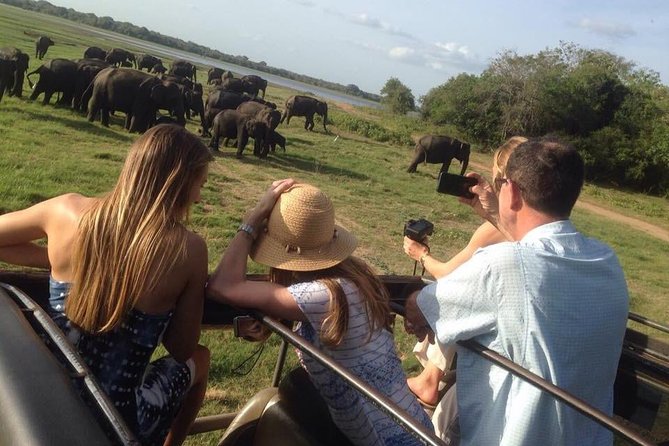 Minneriya Elephant Safari With Sigiriya Rock & Dambulla Cave Temples (Full Day) - Good To Know