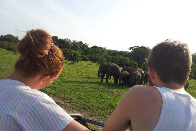 Minneriya Elephant Safari With Sigiriya Rock & Dambulla Cave Temples (Full Day) - Explore Minneriya National Park
