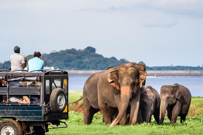 Minneriya Elephant Safari Wth Sigiriya & Dambulla Cave Temples Full Day Tour - Physical Fitness Requirements