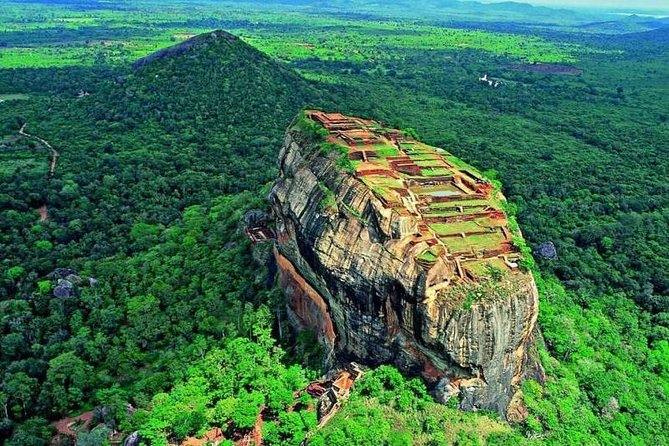 Minneriya Elephant Safari Wth Sigiriya Lion Rock From Colombo - Encounter With Elephants