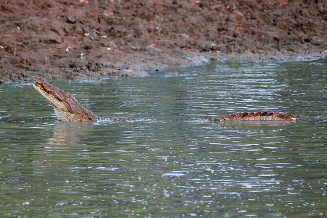 Minneriya Half Day Safari - The Sum Up: Who’s This Safari For?