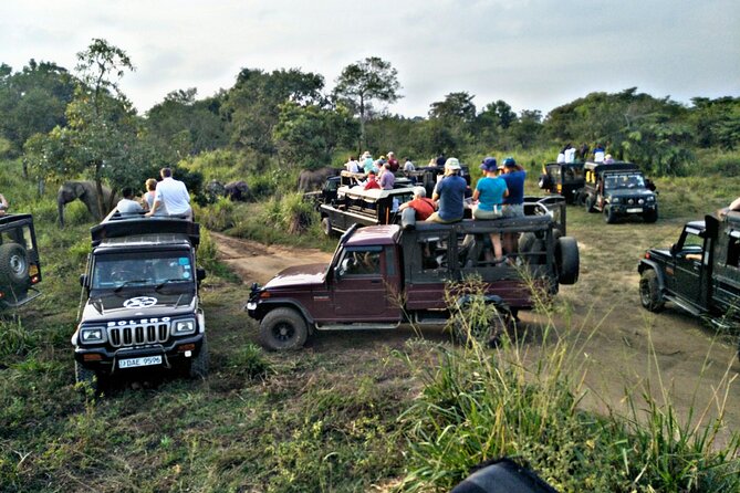 Minneriya / Kaudulla National Park Jeep Safari - Spotting Wildlife