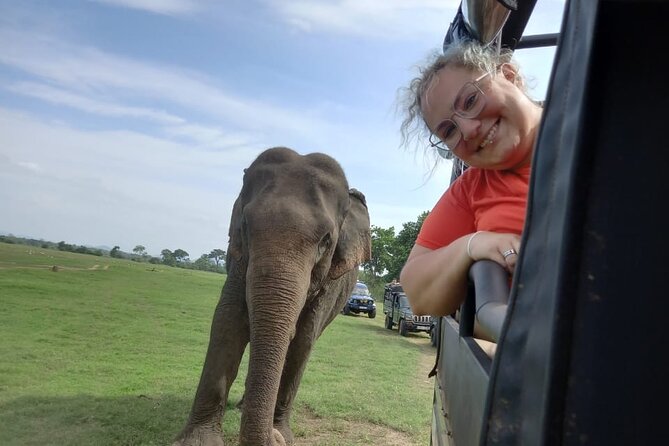 Minneriya National Park Elephant Jeep Safari - Private - Minneriya National Park