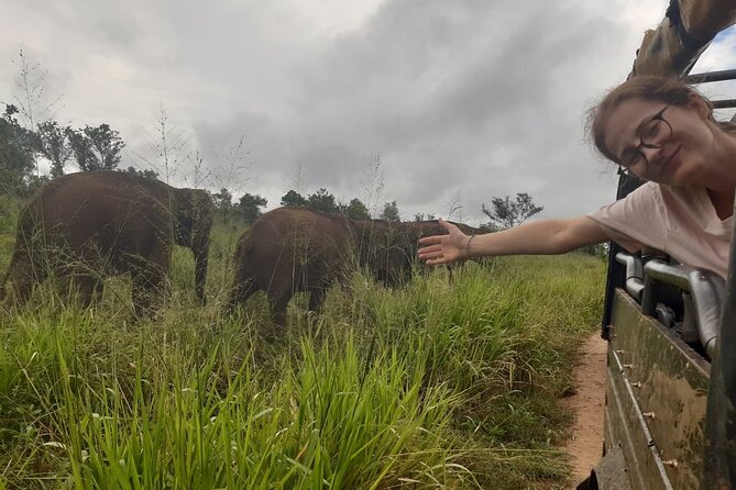 Minneriya National Park Elephant Jeep Safari Private Tour - Overview of Minneriya National Park
