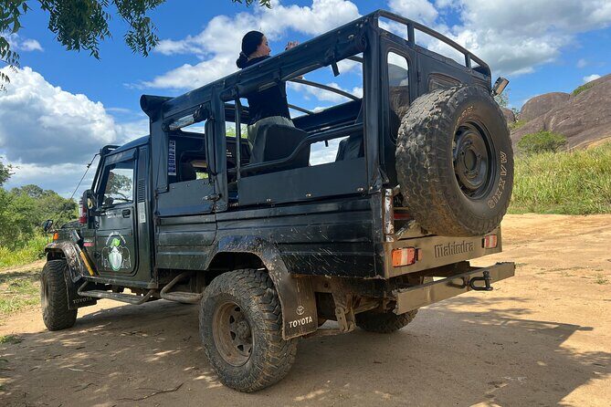 Minneriya National Park Elephant Safari from Sigiriya - An Honest Look at the Tour Experience