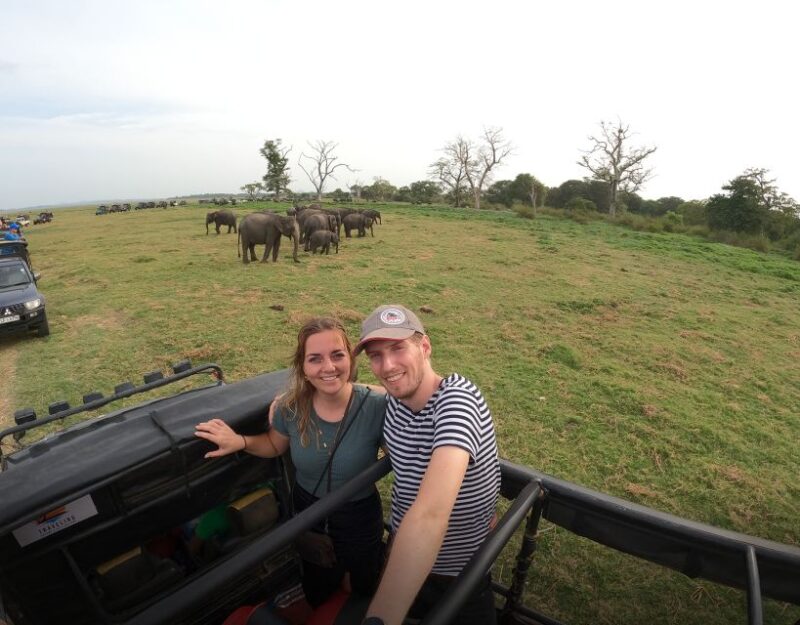 Minneriya National Park Half Day Sri Lanka Jeep Safari - Key Points