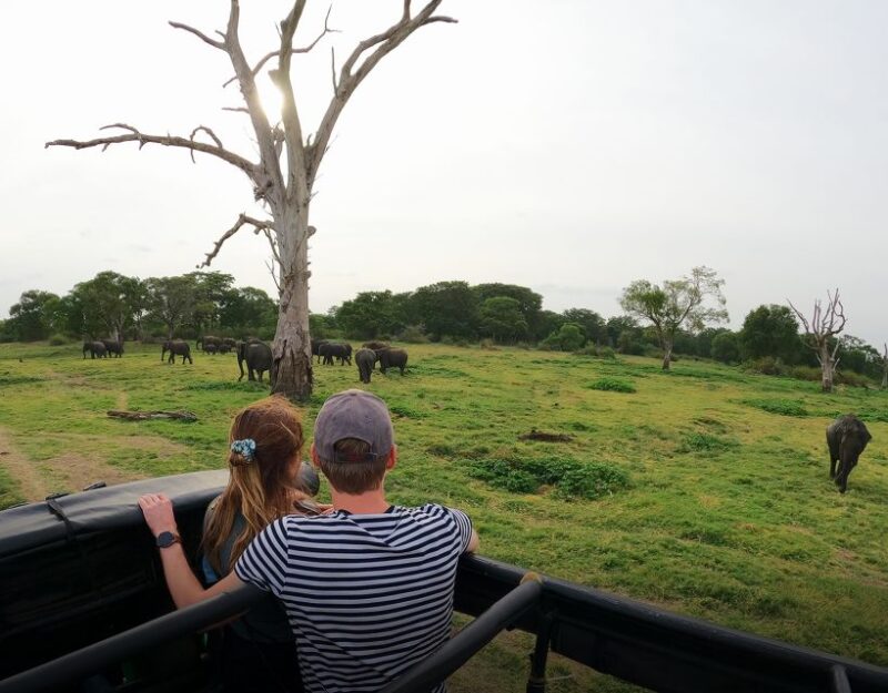 Minneriya National Park Half Day Sri Lanka Jeep Safari - Wildlife Experience