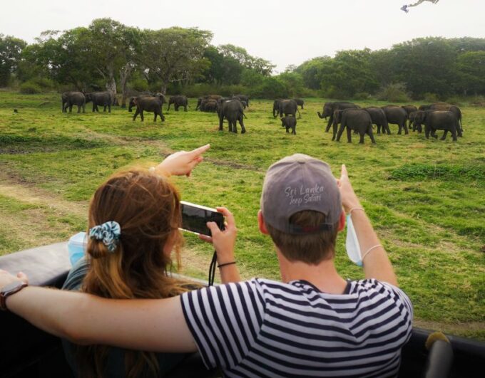 Minneriya National Park Half Day Sri Lanka Jeep Safari - Reserve Now and Pay Later