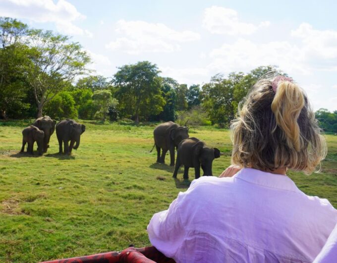 Minneriya National Park Half Day Sri Lanka Jeep Safari - Free Cancellation Policy