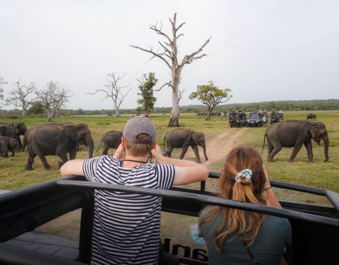 Minneriya National Park Half Day Sri Lanka Jeep Safari - Recap